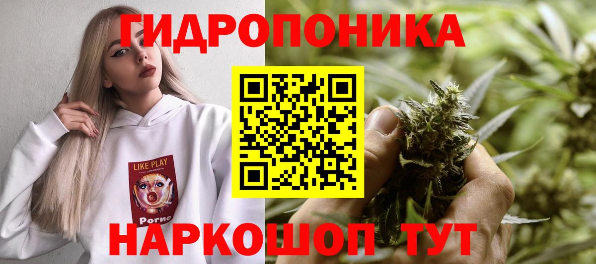 Апшеронск  Каннабис сатива  Вход с VPN  Шишки марихуана Bruce Banner  Каннабис индика 